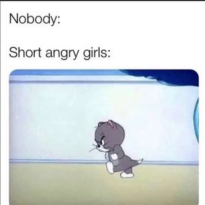 Meet your Posher, Felipe